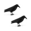 Navaris Crow Statues Set of 2 | Black Crow Bird Figures for Halloween & Garden Decor | Standing or Hanging | 15 x 5 x 4.3" | Full Master Case of 6