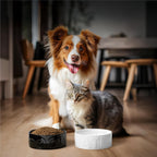 Navaris Ceramic Dog & Pet Bowls Set of 2 | Black & White Water & Food Bowls | Full Master Case of 8