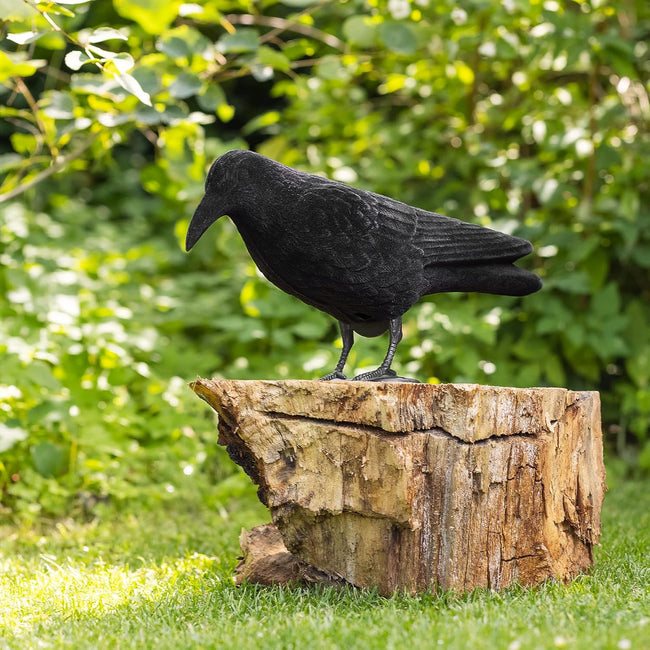 Navaris Crow Statues Set of 2 | Black Crow Bird Figures for Halloween & Garden Decor | Standing or Hanging | 15 x 5 x 4.3" | Full Master Case of 6 Main Image